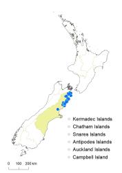 Veronica hulkeana subsp. hulkeana distribution map based on databased records at AK, CHR & WELT.
 Image: K.Boardman © Landcare Research 2022 CC-BY 4.0